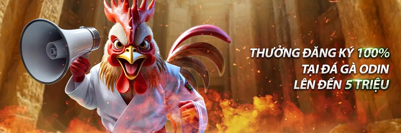 Giao diện đặt cược đá gà trực tuyến trên điện thoại