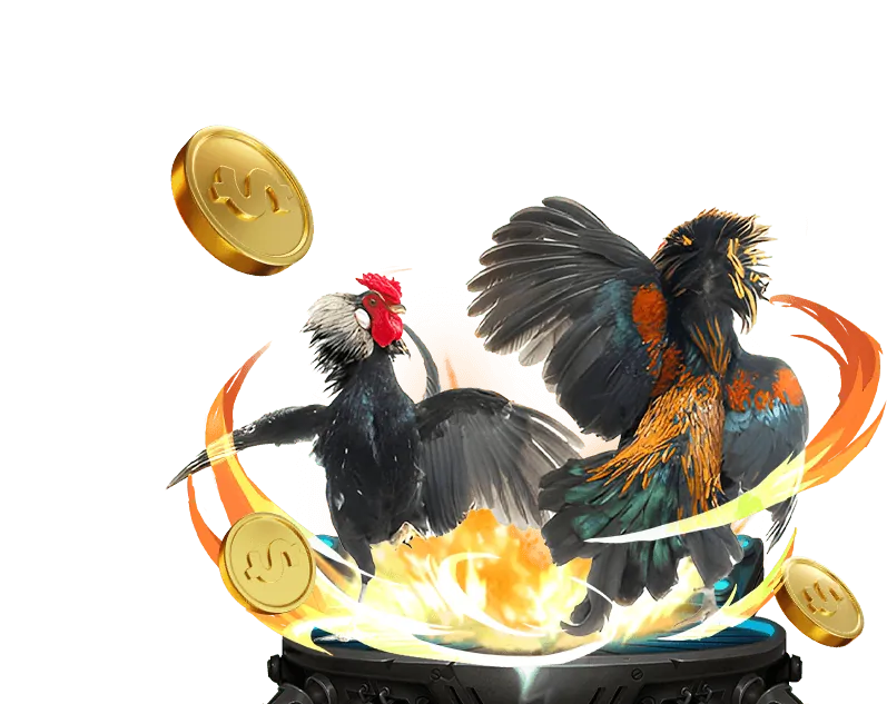 Chương trình hoàn trả hàng ngày cho cá cược thể thao và đá gà